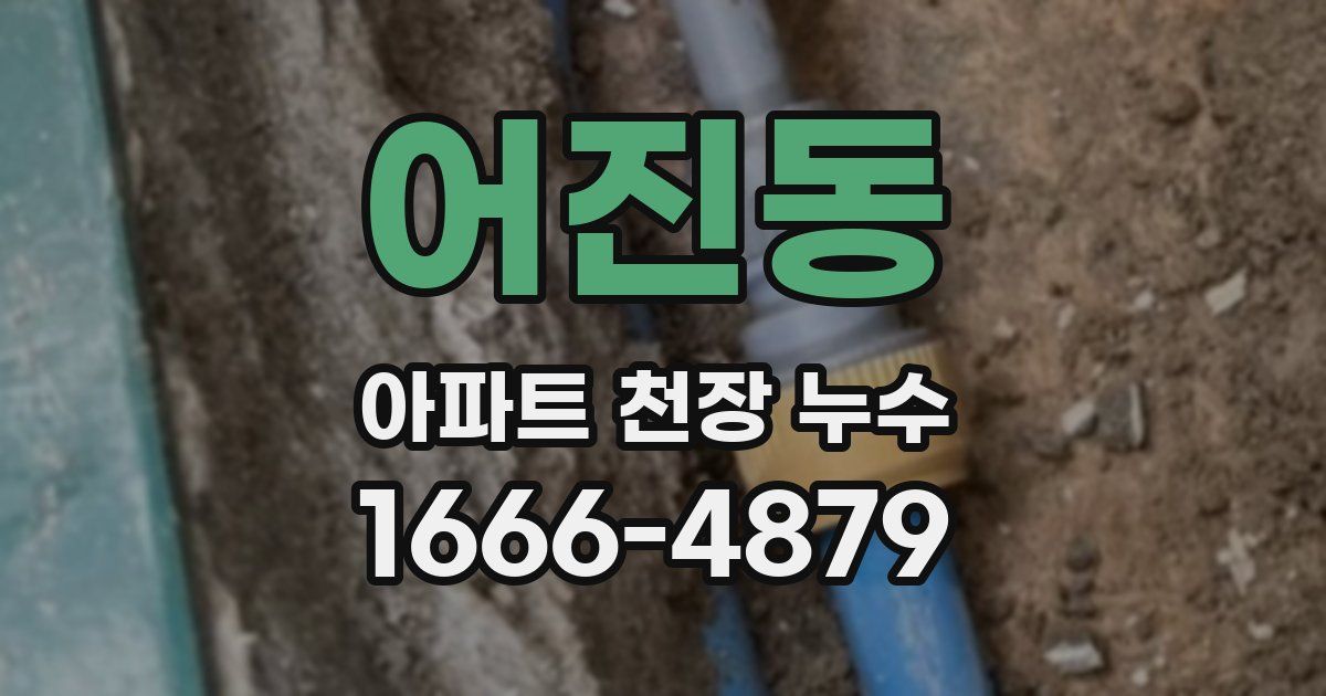 어진동 아파트 천장 누수