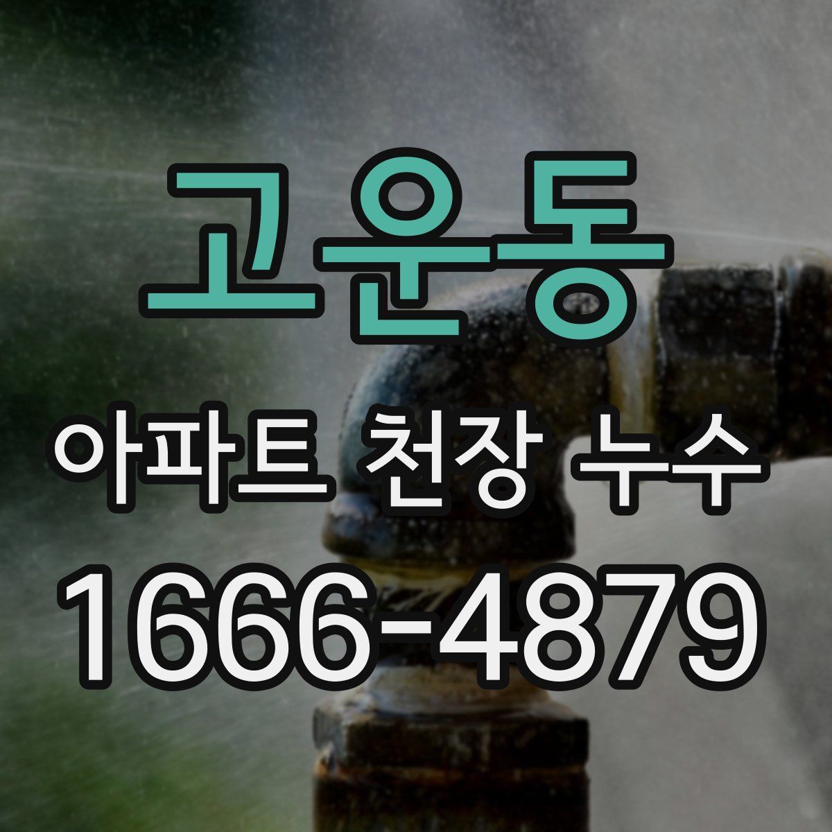 고운동 아파트 천장 누수