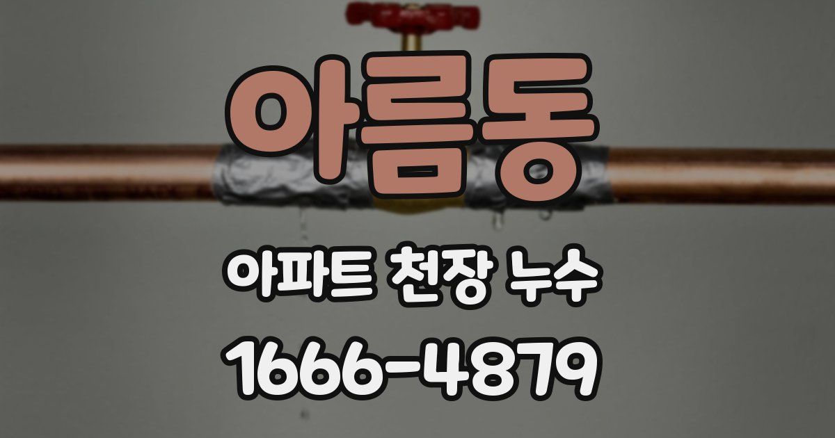 아름동 아파트 천장 누수