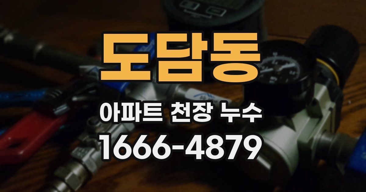 도담동 아파트 천장 누수