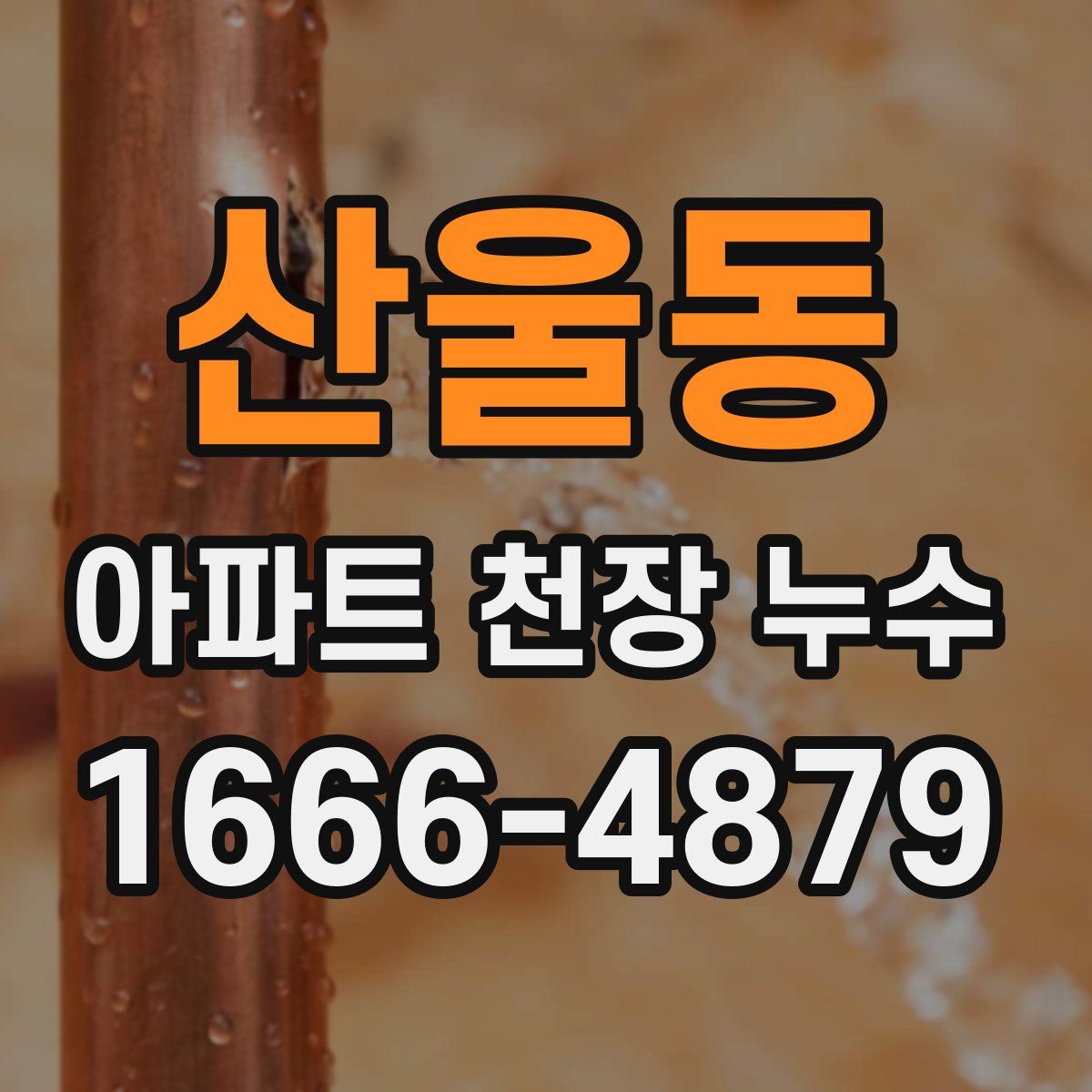 산울동 아파트 천장 누수