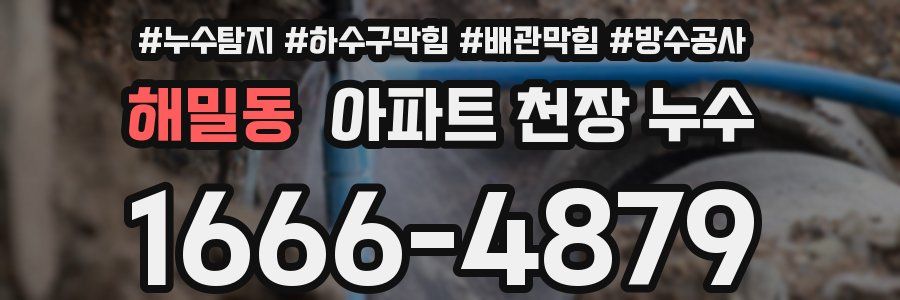 해밀동 아파트 천장 누수