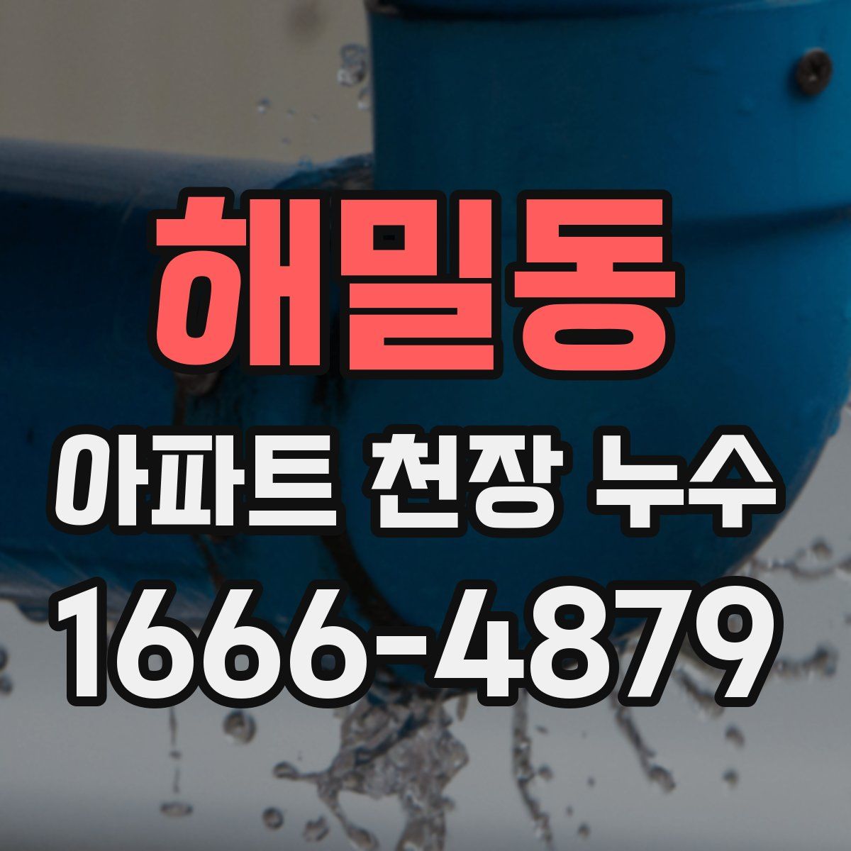 해밀동 아파트 천장 누수