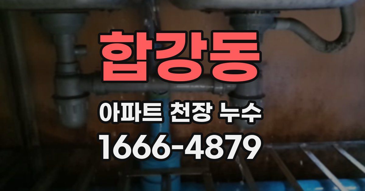 합강동 아파트 천장 누수