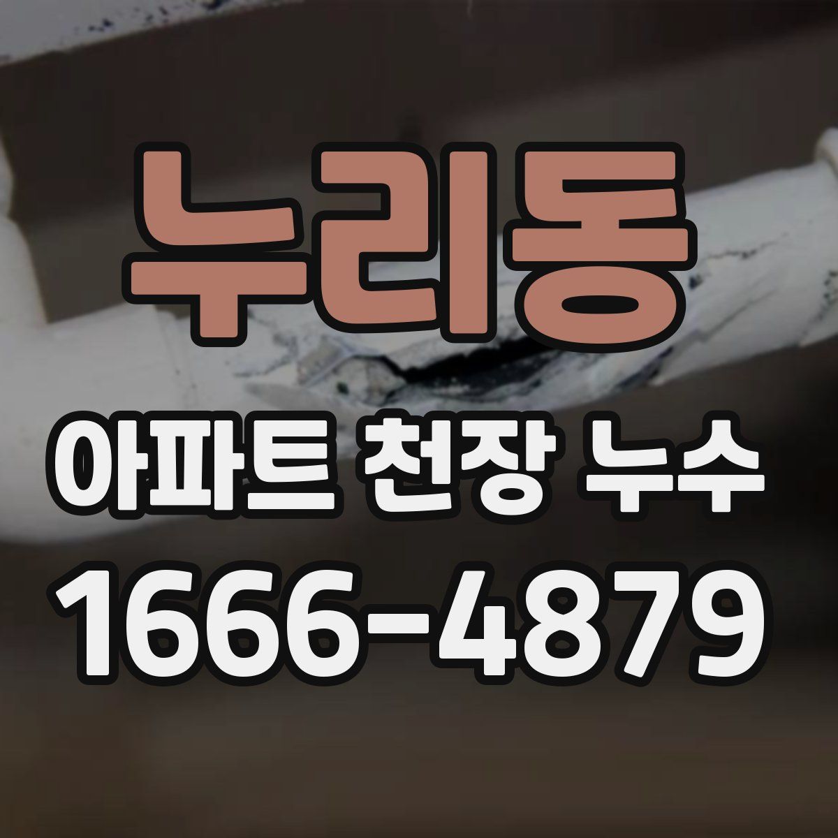 누리동 아파트 천장 누수