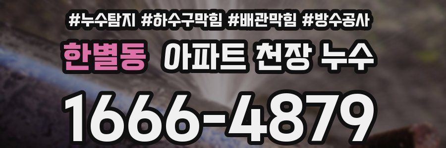 한별동 아파트 천장 누수