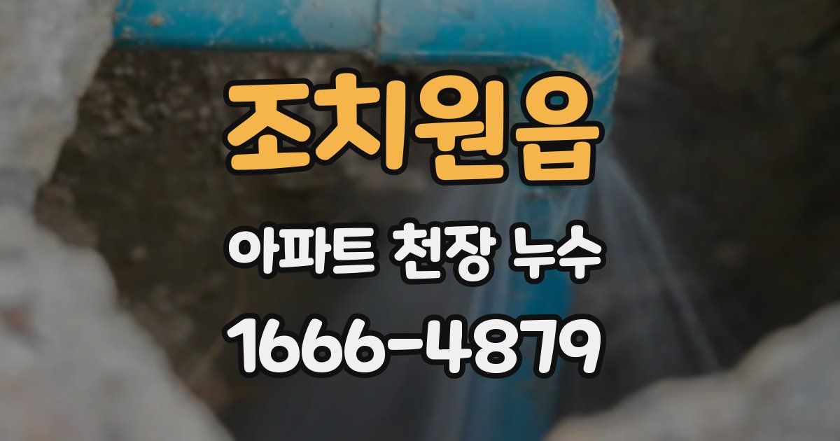 조치원읍 아파트 천장 누수