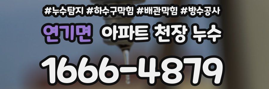 연기면 아파트 천장 누수