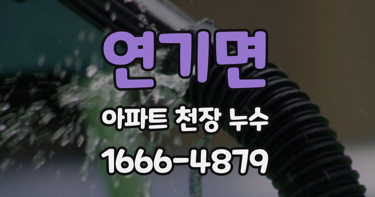 연기면 아파트 천장 누수
