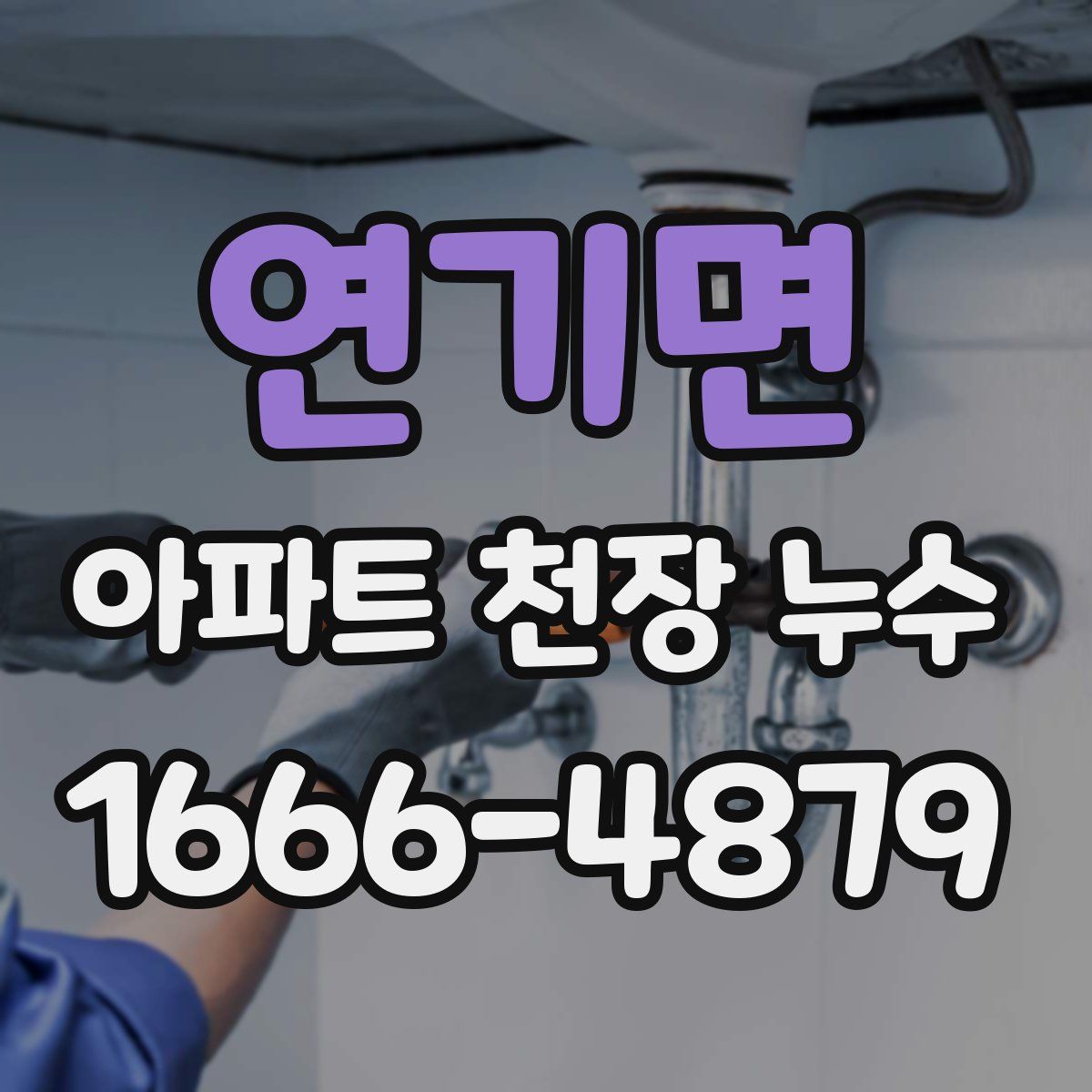 연기면 아파트 천장 누수
