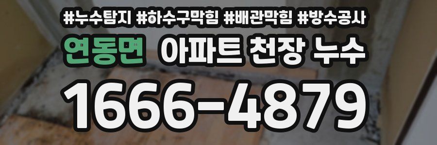연동면 아파트 천장 누수