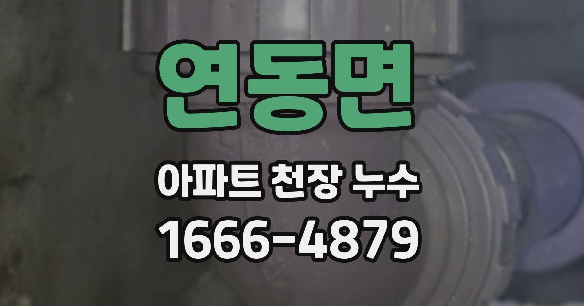 연동면 아파트 천장 누수