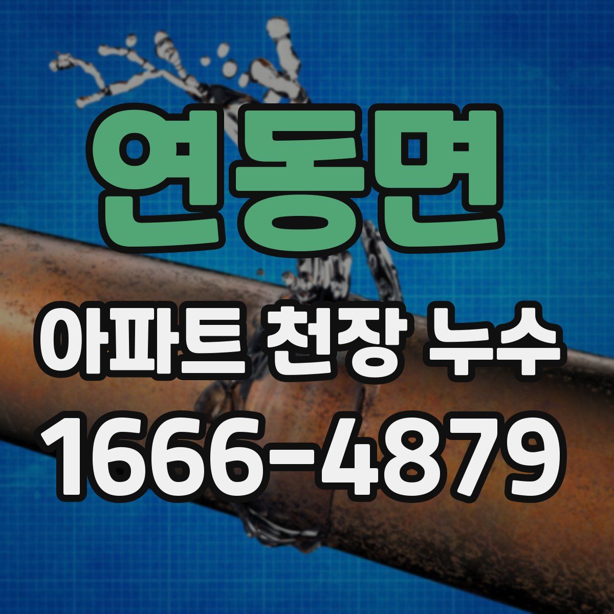 연동면 아파트 천장 누수