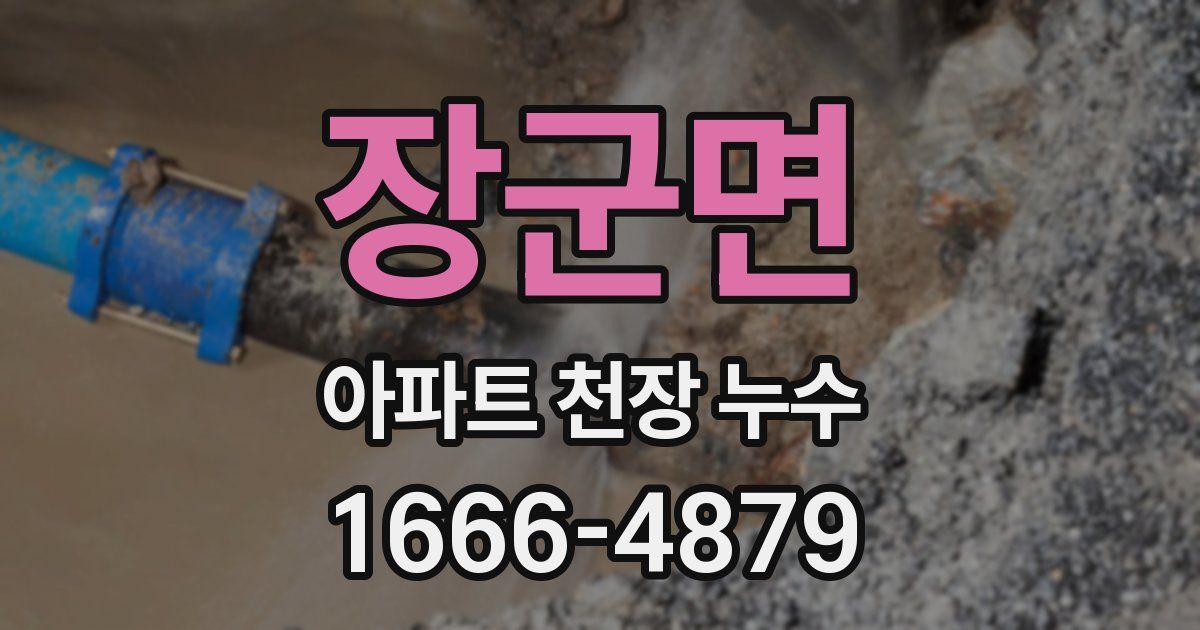 장군면 아파트 천장 누수