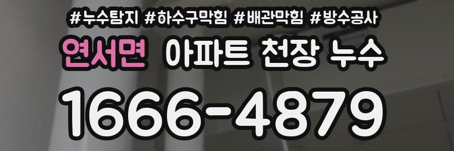 연서면 아파트 천장 누수