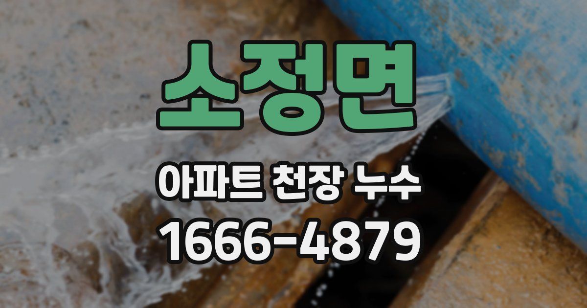 소정면 아파트 천장 누수