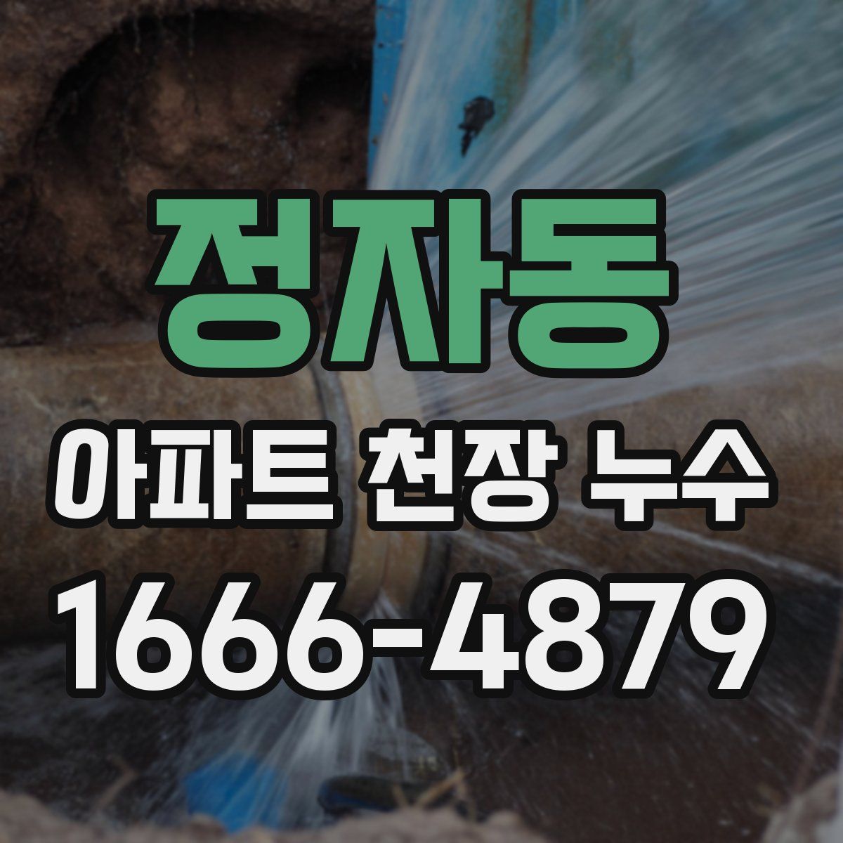 정자동 아파트 천장 누수