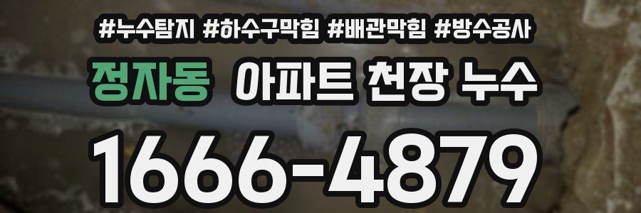 정자동 아파트 천장 누수