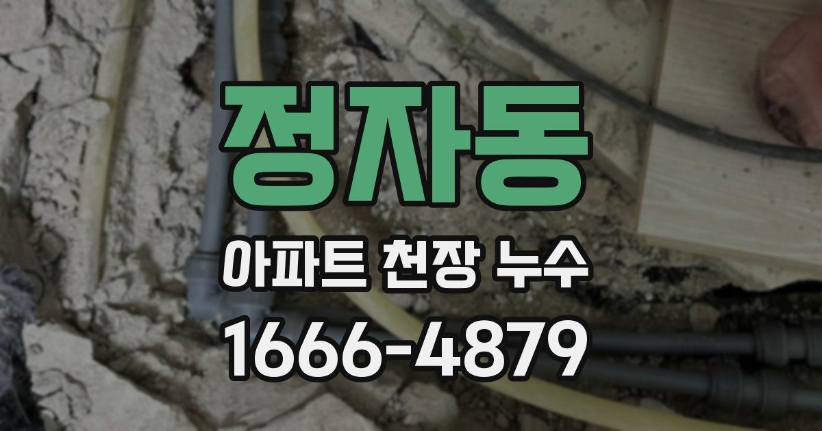 정자동 아파트 천장 누수