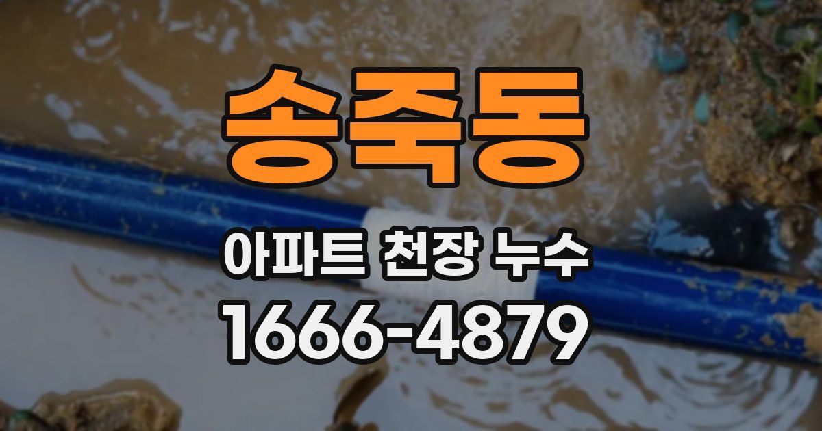 송죽동 아파트 천장 누수