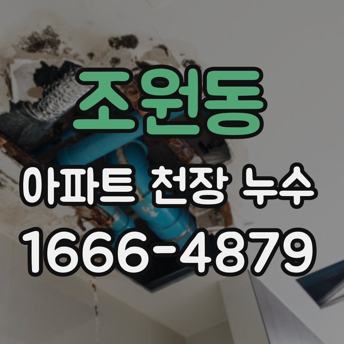 조원동 아파트 천장 누수