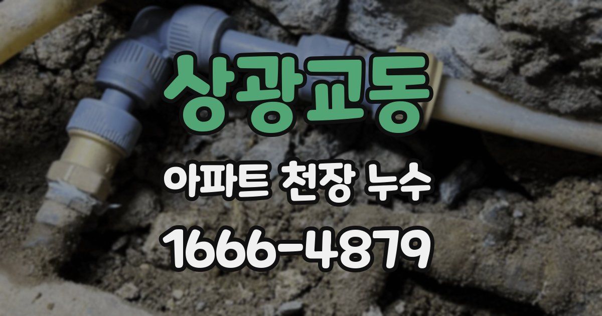 상광교동 아파트 천장 누수