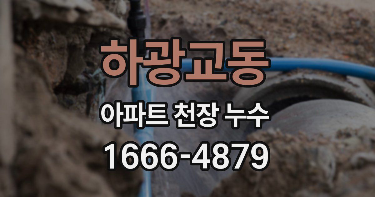 하광교동 아파트 천장 누수