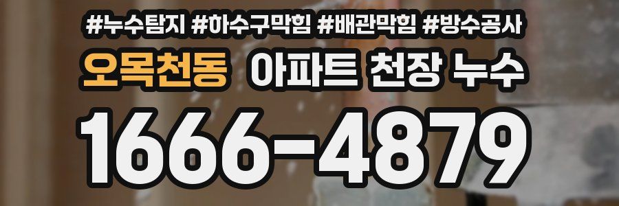 오목천동 아파트 천장 누수