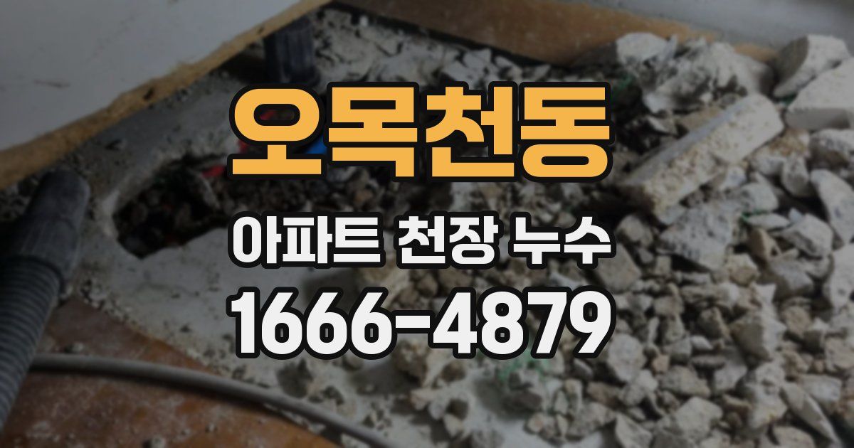 오목천동 아파트 천장 누수