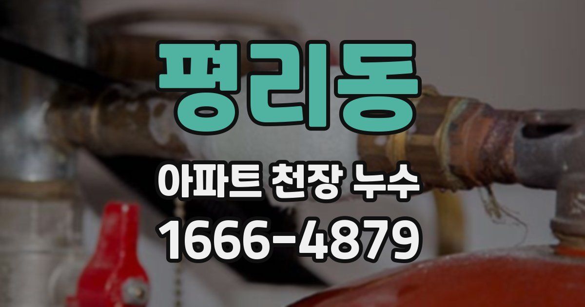 평리동 아파트 천장 누수