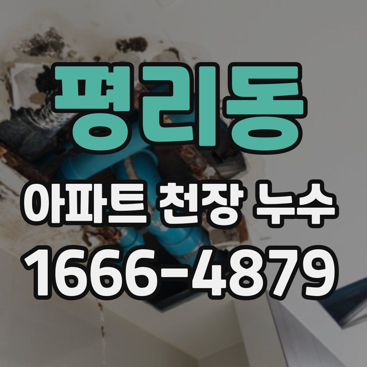 평리동 아파트 천장 누수