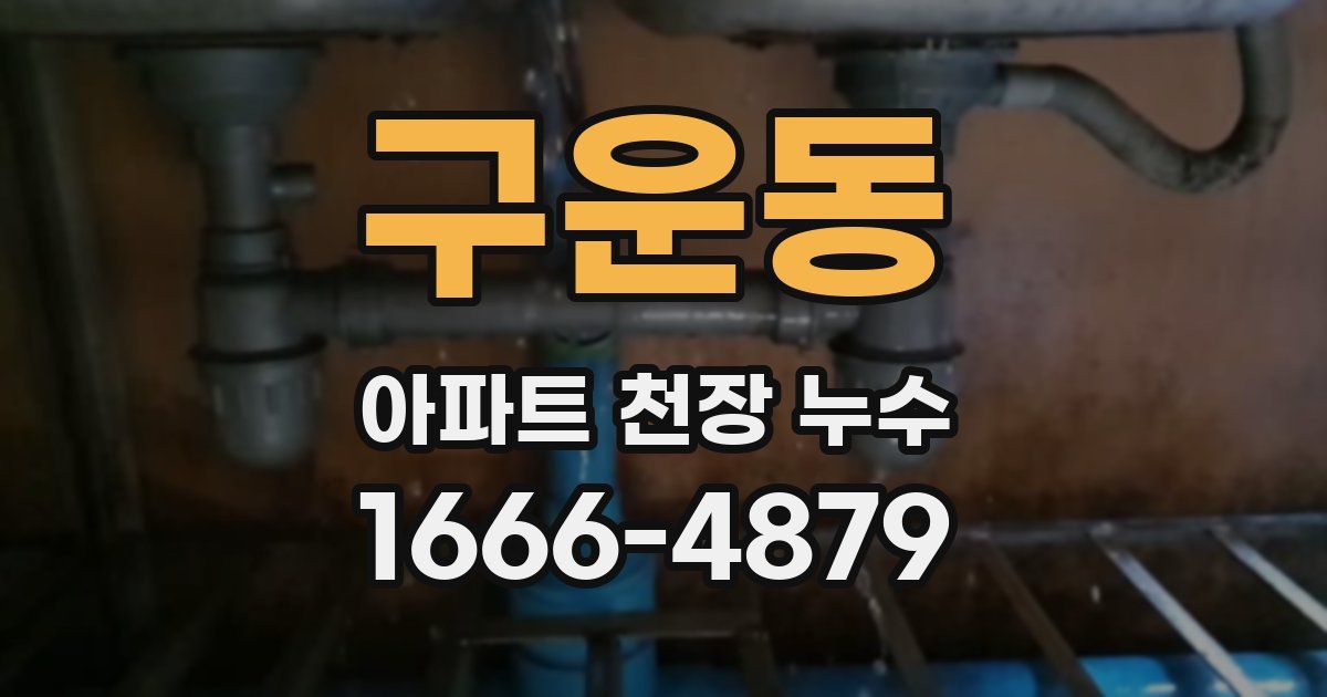 구운동 아파트 천장 누수