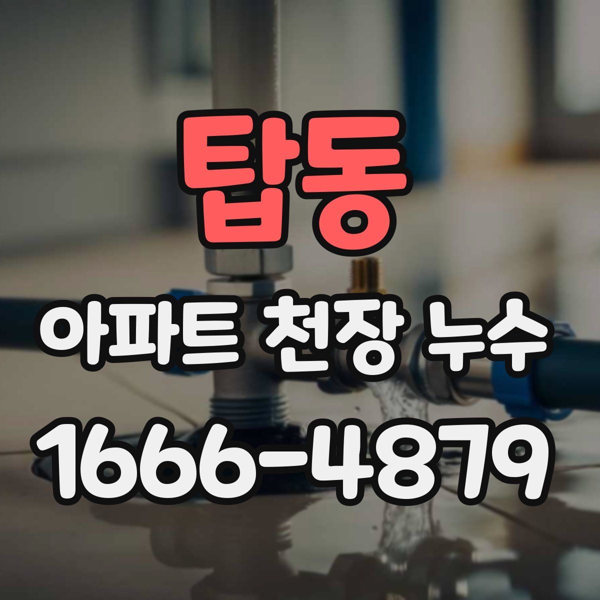 탑동 아파트 천장 누수