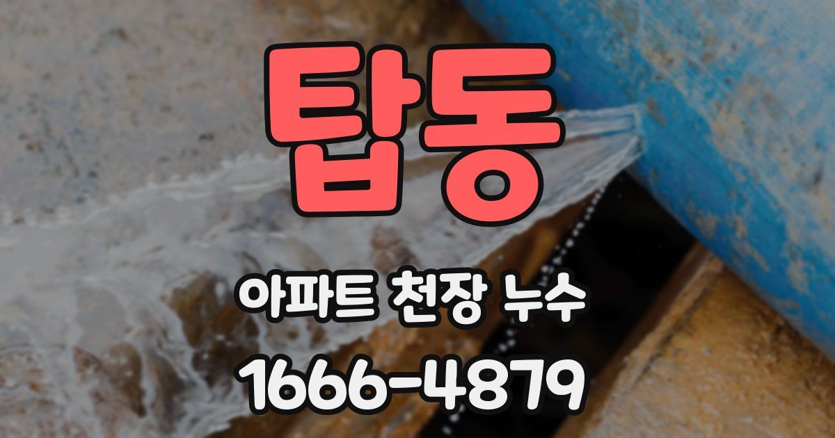 탑동 아파트 천장 누수