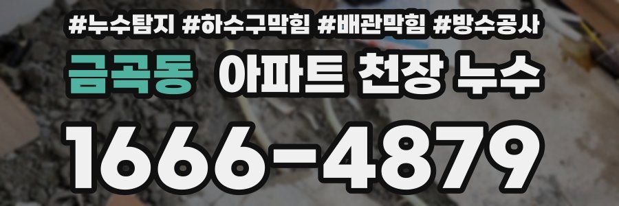 금곡동 아파트 천장 누수