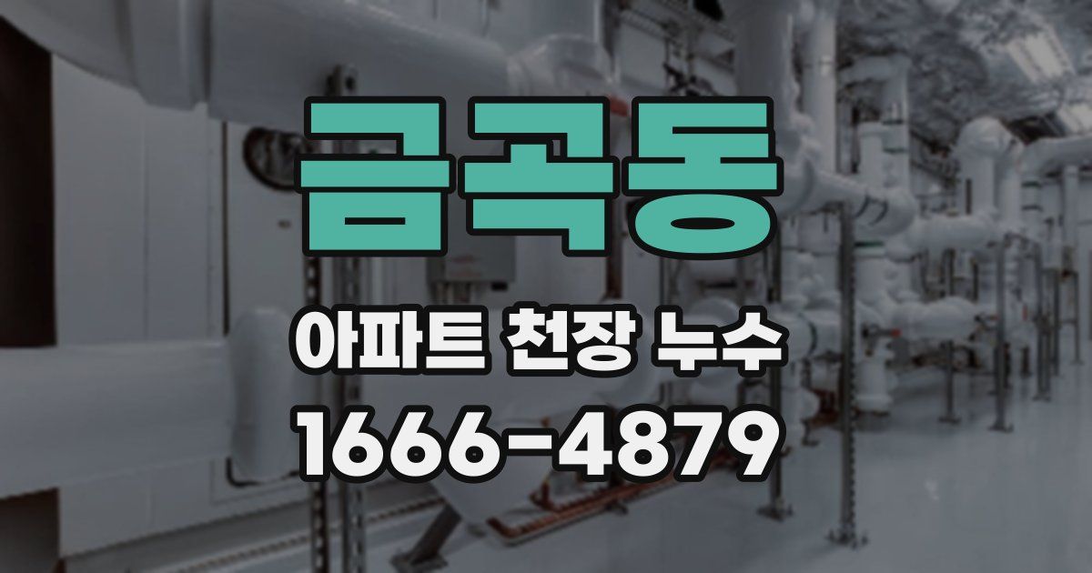 금곡동 아파트 천장 누수