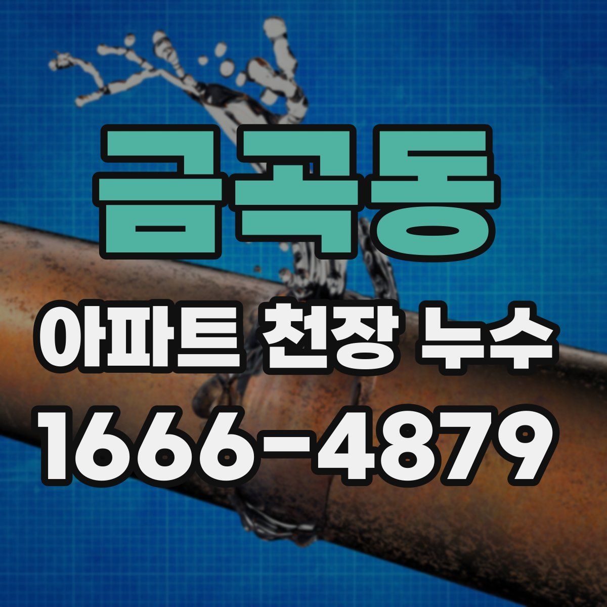 금곡동 아파트 천장 누수