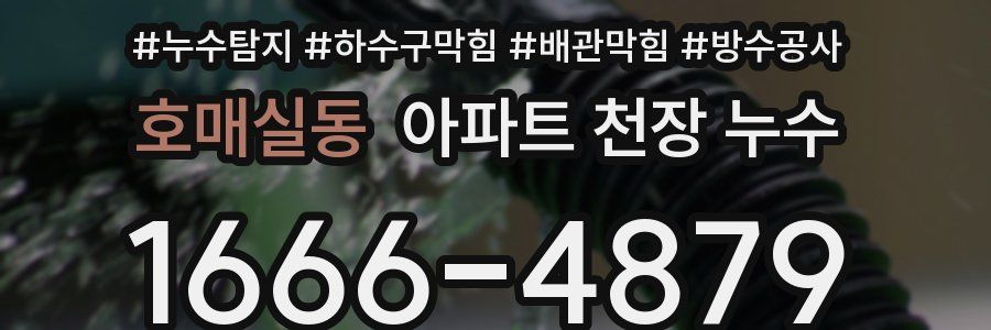 호매실동 아파트 천장 누수