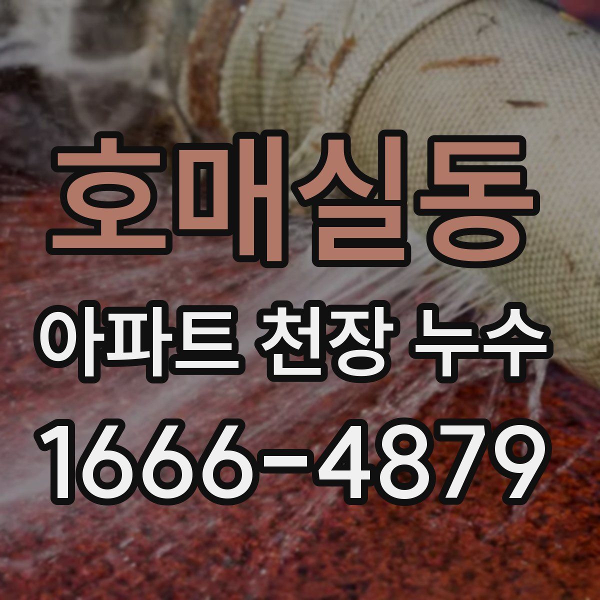 호매실동 아파트 천장 누수