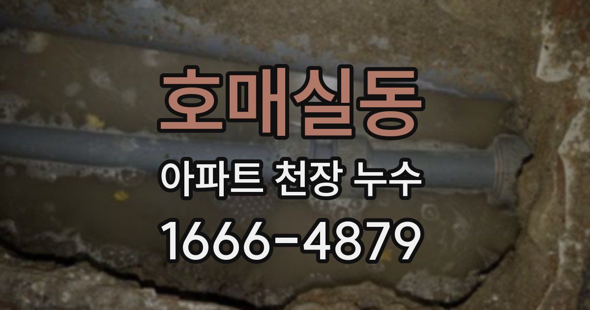 호매실동 아파트 천장 누수