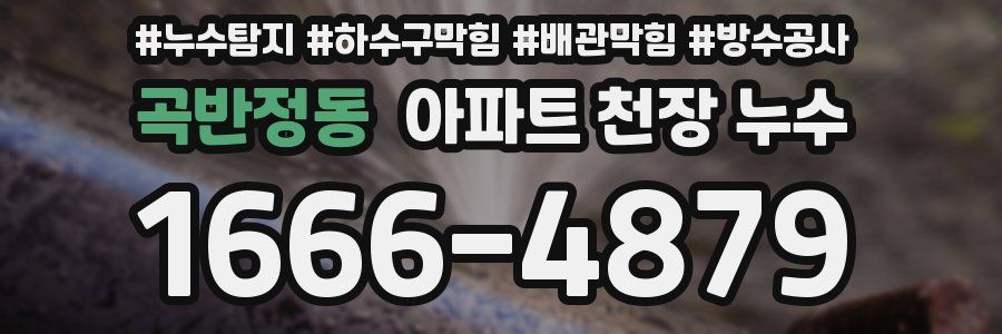 곡반정동 아파트 천장 누수
