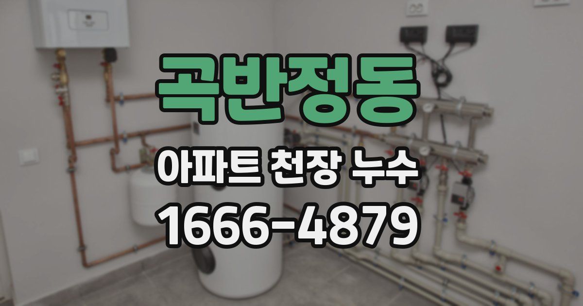 곡반정동 아파트 천장 누수