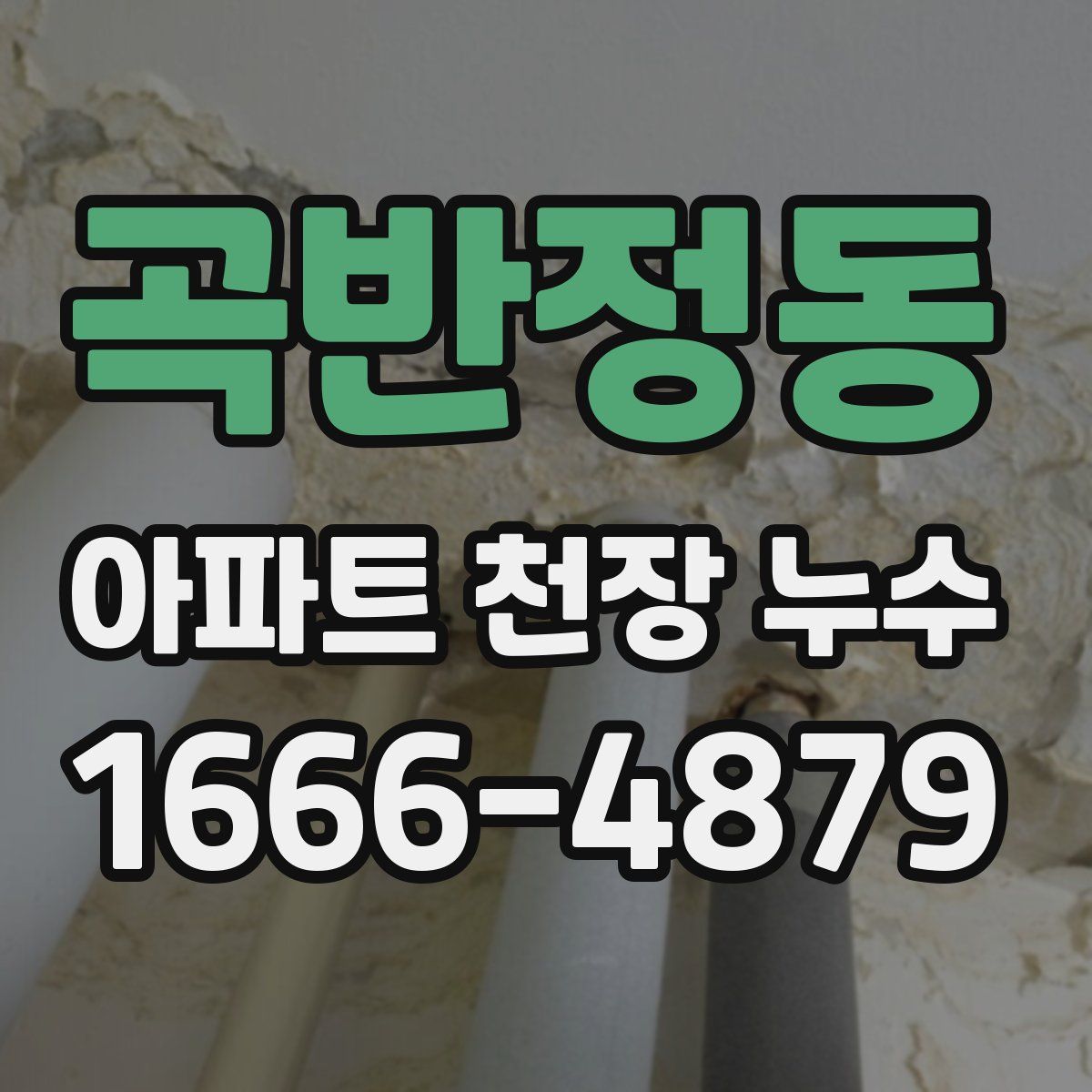 곡반정동 아파트 천장 누수