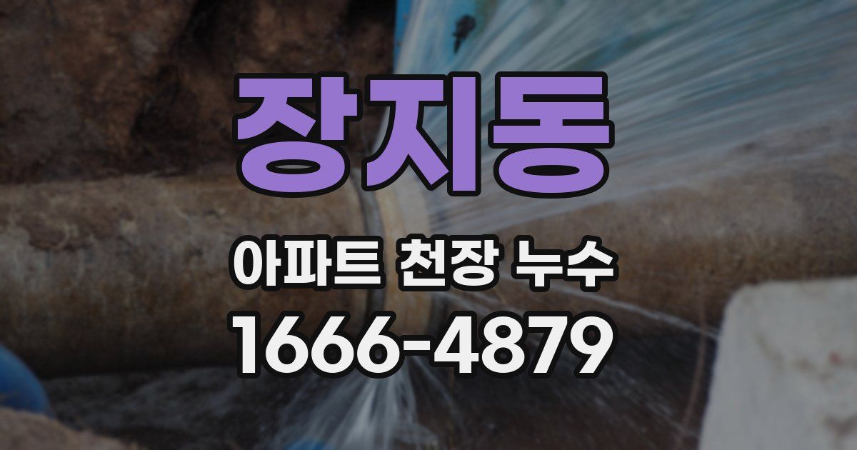 장지동 아파트 천장 누수