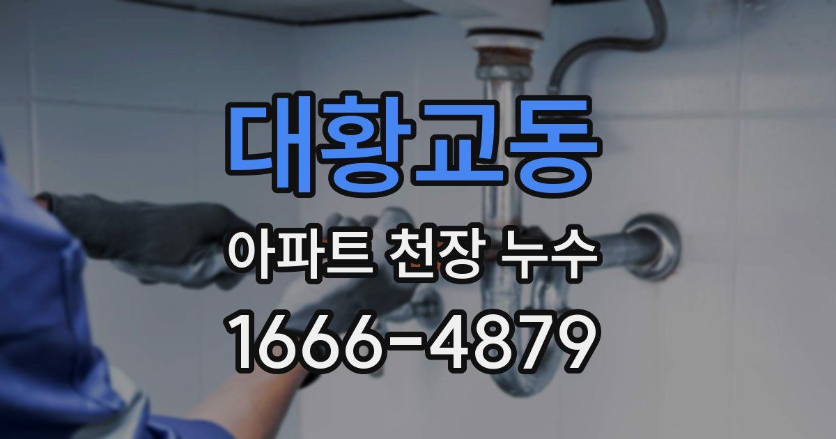대황교동 아파트 천장 누수