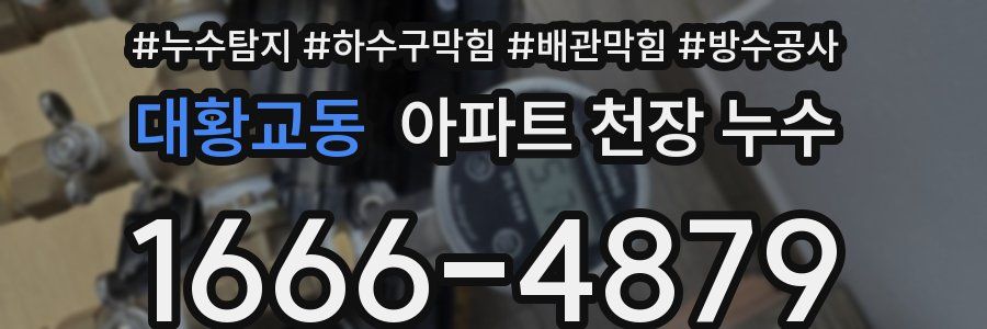 대황교동 아파트 천장 누수