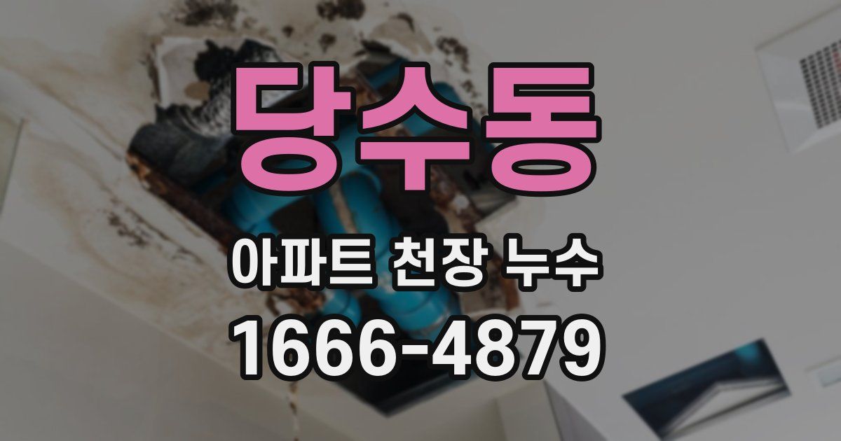 당수동 아파트 천장 누수