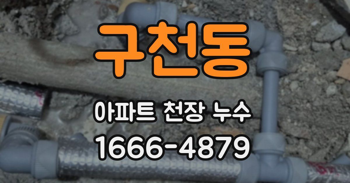 구천동 아파트 천장 누수