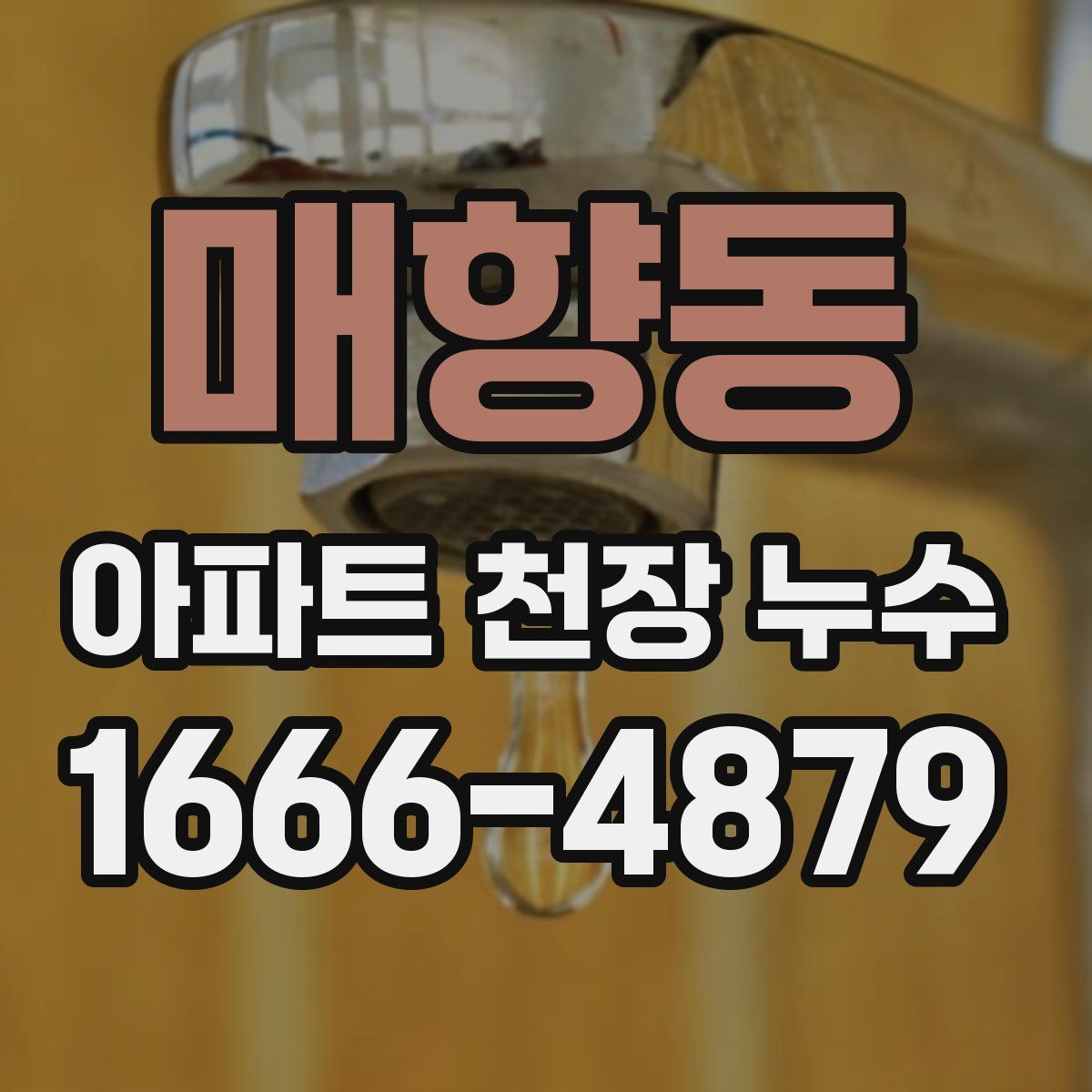 매향동 아파트 천장 누수