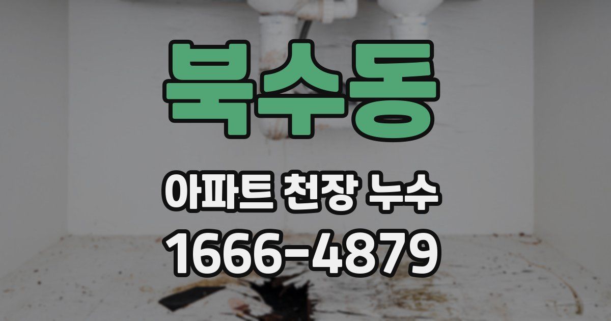 북수동 아파트 천장 누수